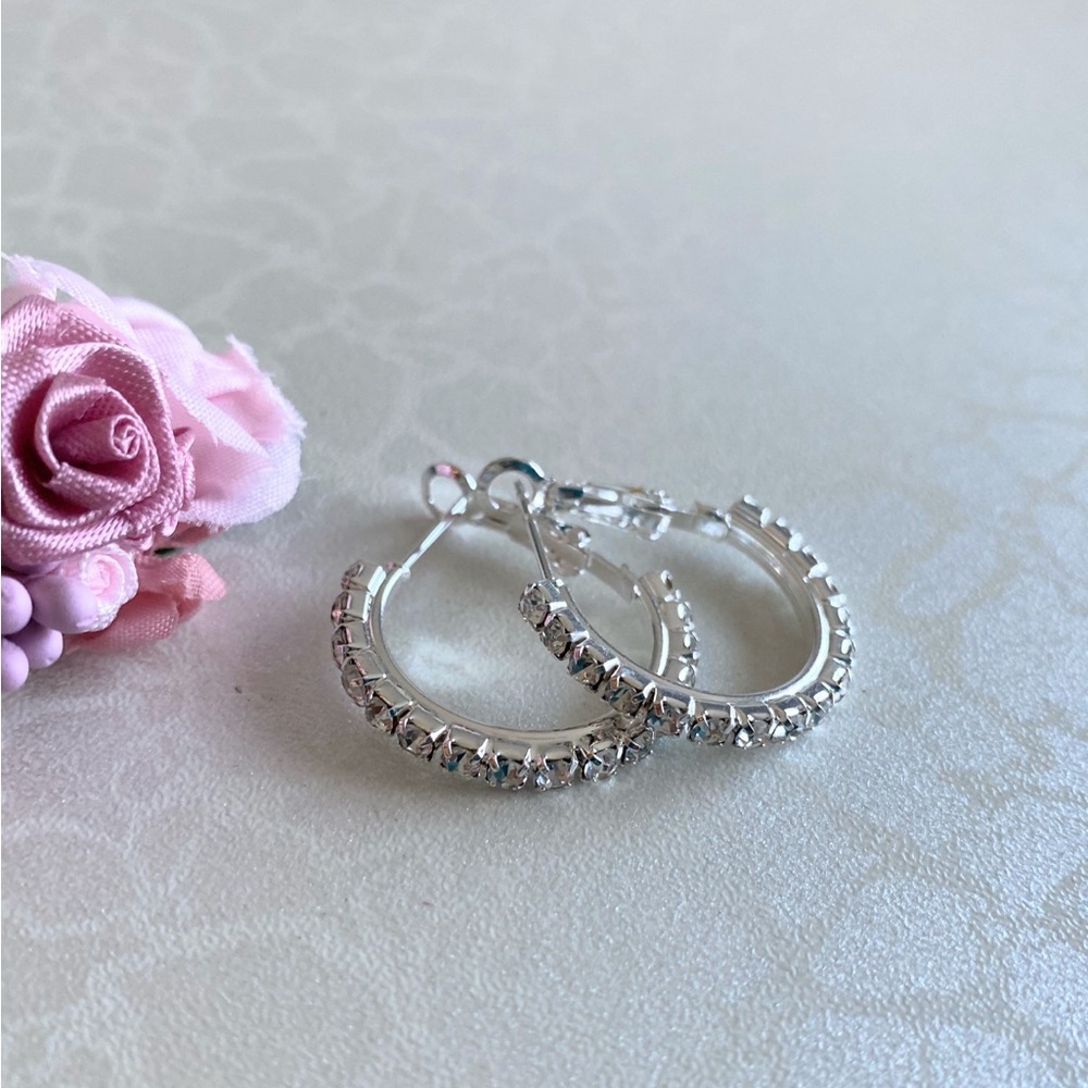 Silver Stainless Steel and Crystal Hoop Earrings - Elegant Women's Jewelry